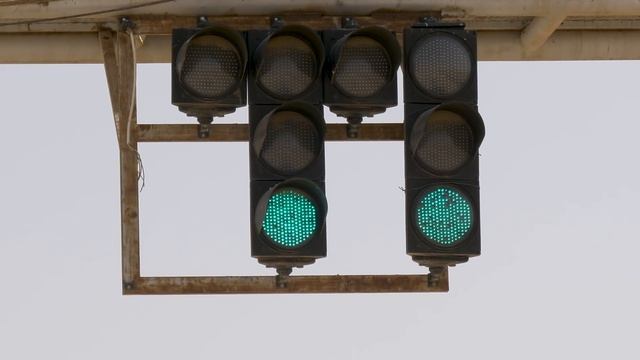 Jaguar launches World Driving Day with Aseel Al Hamad смотреть онлайн