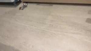 Использование функции выдув пылесоса Aceline MAC 1012