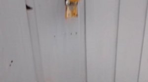 тест универсальных ключей с озон 3 часть