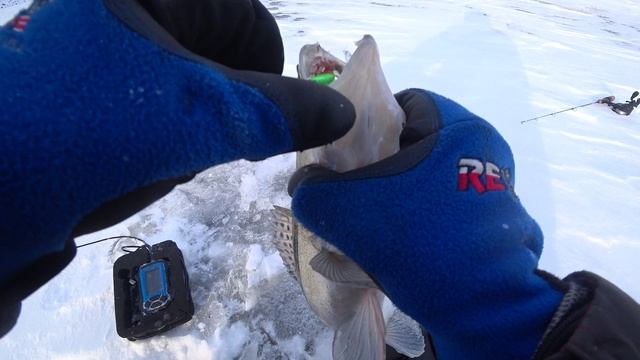 БЕЗ МАТА НЕ КАК ТАМ ЧТО ЗА РЫБИНА ЕЩЕ И УДОЧКУ СЛОМАЛ рыбалка зимой смотреть онлайн