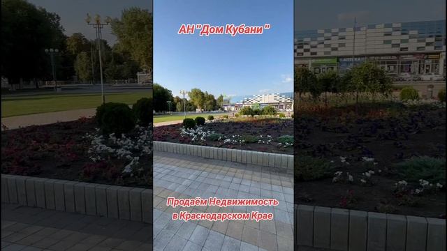 Агентство Недвижимости Дом Кубани ст Каневская ул Таманская Дом 124 , 89186922458