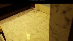 Kendra Lust Anal Ass