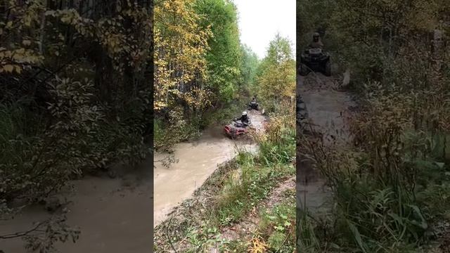 Polaris highlifter 1000