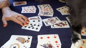 Крестовый ♣️ и Соперница♦️!! Что у них сейчас??