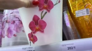 ВЛОГ Что СЛУЧИЛОСЬ с АЛИСОЙ? КУПИЛА новые ОРХИДЕЙ и горшки для орхидей! Мили Ванили