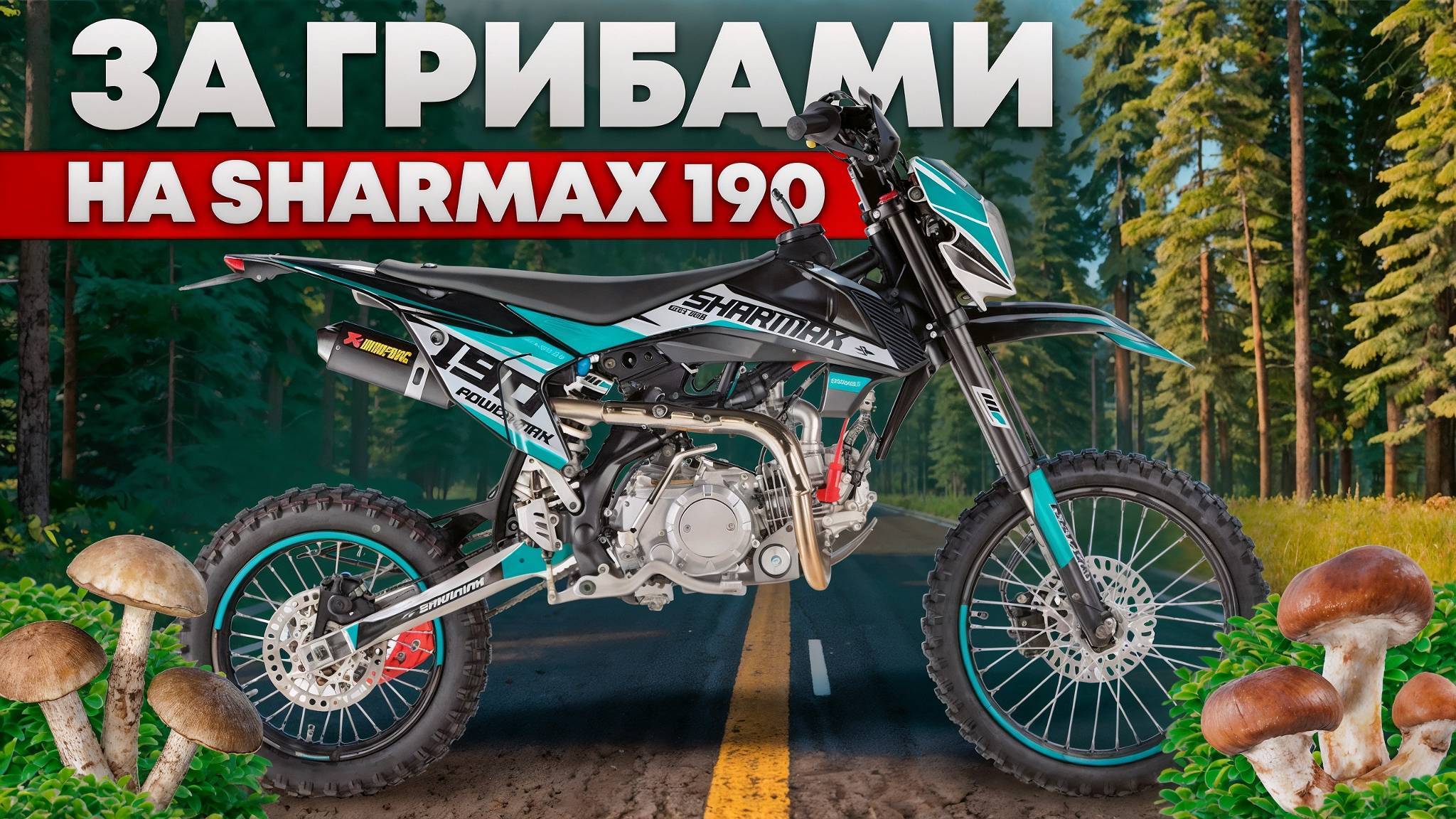 за грибами на Sharmax 190