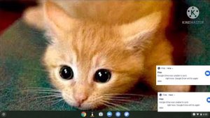 Chrome os crazy error