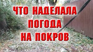Что наделала погода на Покров