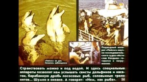 Диафильм Что изучает физика /по физике для 7 класса/