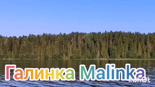 Деревенский дневник очень многодетной мамы/Мстит ей за всех мужей/Обзор  /Мать-героиня /Оля Быкова