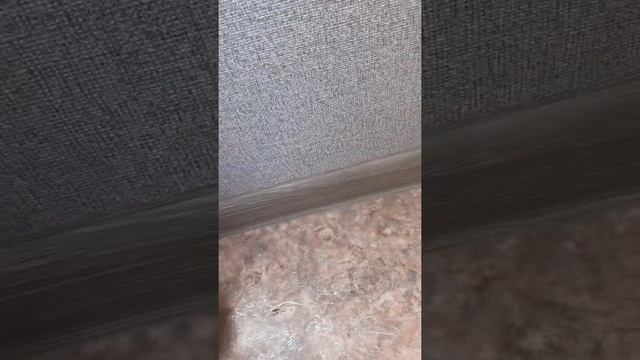 Напольный плинтус с круглыми углами! смотреть онлайн