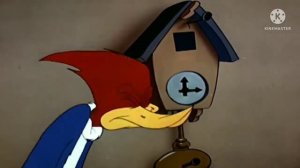 Приключения Дятел вуди и его друзей кинопопкорн для всей семьй 🎬🍿