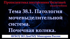 Тема 38.1. Патология мочевыделительной система. Почечная колика.