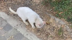 ВЛОГ  Плаваем в бассейне