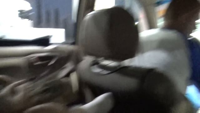 ВЛОГ Едем в Челябинск на машине без остановок в гостиницах С КОШКОЙ ! Весело всей семьей !