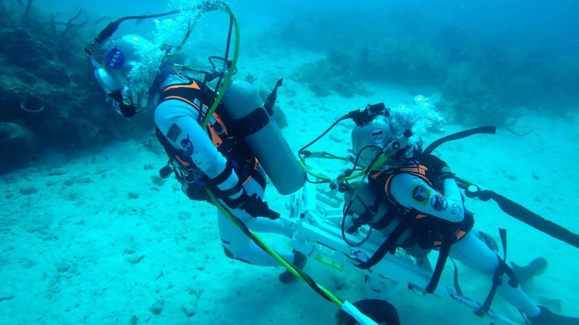 «Подводный мир Дж. Берда» Тренировка астронавтов но сначала техника неподвижности акул смотреть онлайн