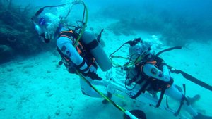 «Подводный мир Дж. Берда» Тренировка астронавтов но сначала техника неподвижности акул