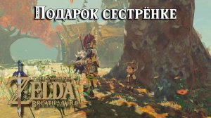 Подарок сестрёнке. The Legend of Zelda Breath of the Wild. Little Sisters Big Request