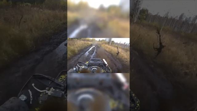 #offroad #mud #brp #brpoutlander #оффроуд #swamp