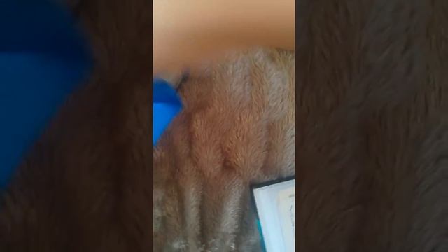 Вторая сумка в роддом! Казахстан. Март 2020 год. смотреть онлайн