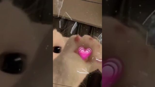 🤜
