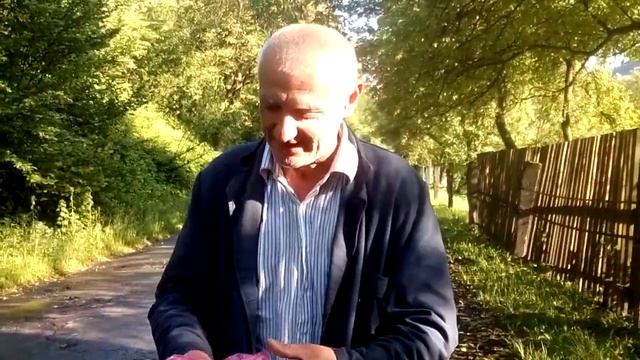 Деньги решают всё!!! смотреть онлайн