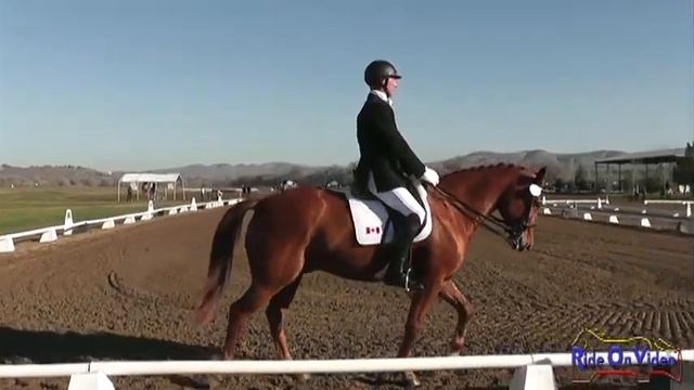 022D James Atkinson - Gustav Open Intermediate Dressage Twin Rivers Ranch March 2013 смотреть онлайн