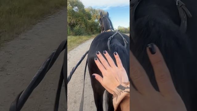 #horse #кони #лошади #ипподром #благовещенск #ногти#девушки