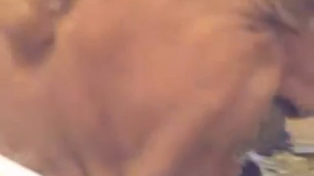 Ханифа Дибиров. смотреть онлайн