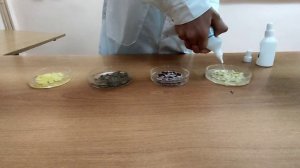 проект на февральскую естественнонаучную образовательную программу сириус