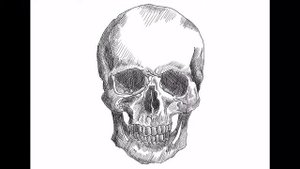 SKULL (how to cross-hatch) | iPad Pro - Apple Pencil | ProCreate | Speed Drawing