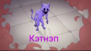 трансформация кэтнэпа