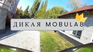 ДИКАЯ MOBULA8 FPV