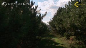 Коттеджный поселок "Сияние" в Симферополе