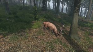 Олени в DayZ