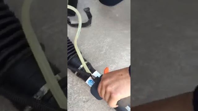 ARRANQUE MOTOPULVERIZADOR DAL DEGAN MONZON EN FRIO смотреть онлайн