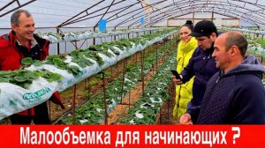 Малообъемка для начинающих