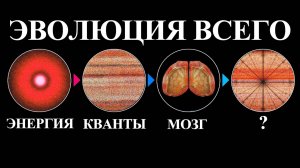 Новая теория эволюции интеллекта в 2024