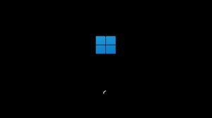 Windows 11 Crazy Error (Full Ver.)