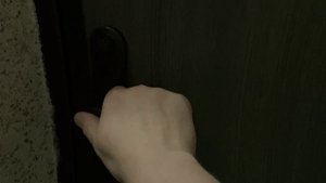 Электрический уничтожитель комаров Black kill