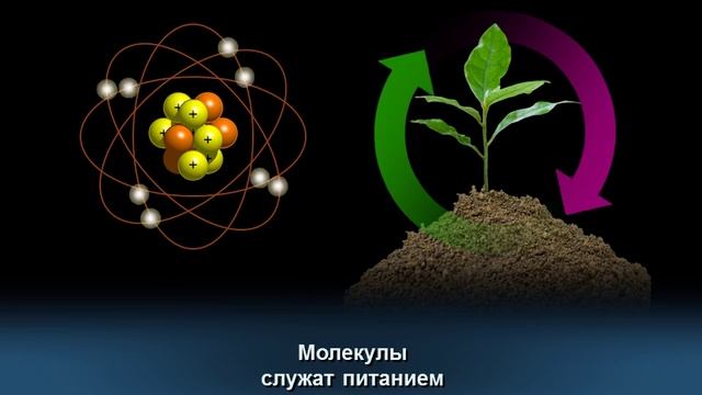Божественный Принцип - 07. Круговое движение