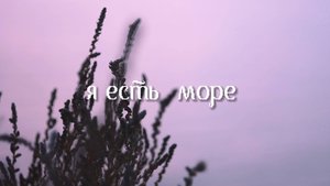 ДВИГАЙСЯ ПОДОБНО ТОМУ, КЕМ ХОЧЕШЬ БЫТЬ 𓏲 ๋࣭ ࣪ ˖ АНОНС КУРСА ПО ТЕЛЕСНЫМ ПРАКТИКАМ 𓏲 ๋࣭ ࣪ ˖ МПП