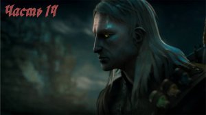 The Witcher Enchanced Edition. прохождение часть 14