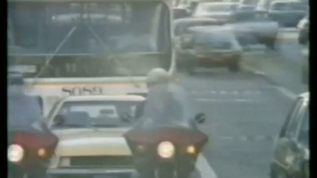 Колибри_Вариации