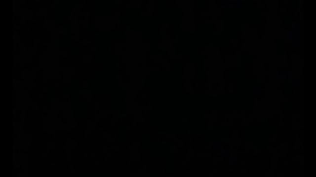 Professor Cal - Quite The Ride ~ NSFW ~ смотреть онлайн