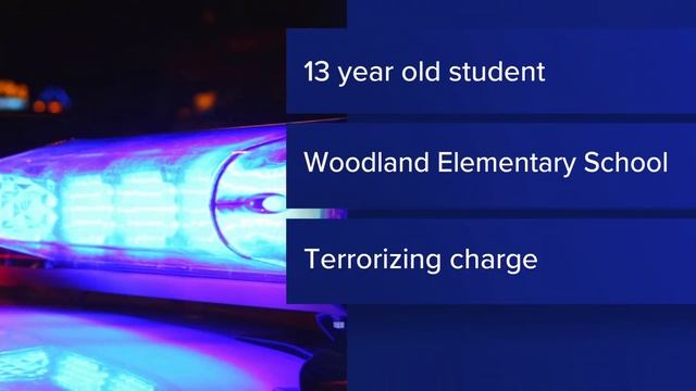 Teen, 13, charged after alleged threat at Woodland Elementary School смотреть онлайн