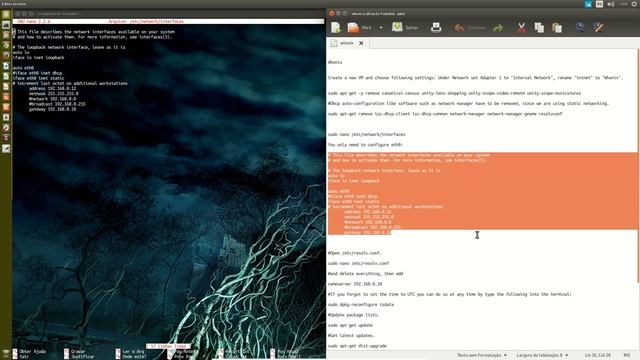DICA, hosts,ubuntu pelo whonix,conky,java,customizar смотреть онлайн