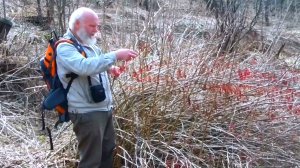 конец апреля