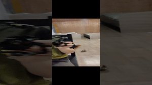 конструктор твмен зомби и другие