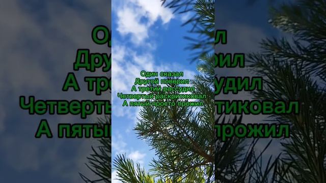 Смыслы мысли #смыслы #мысли #стих #meanings #thoughts#verse #ГараевДамир #GaraevDamir #short #shorts